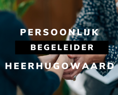 Persoonlijk begeleider